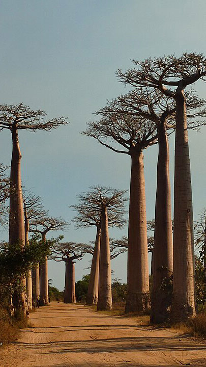 Madagascar