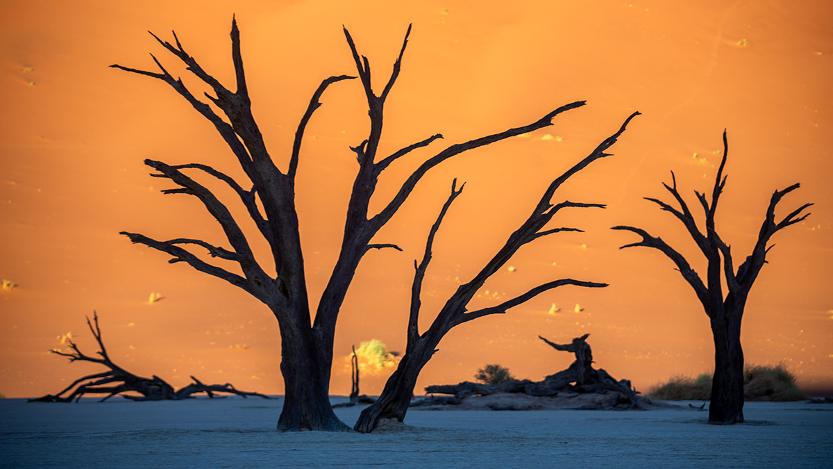 Namibia