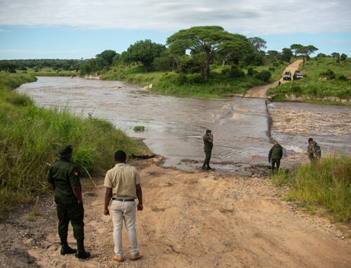 Improved Infrastructure in Tanzania: New Roads and Air Routes