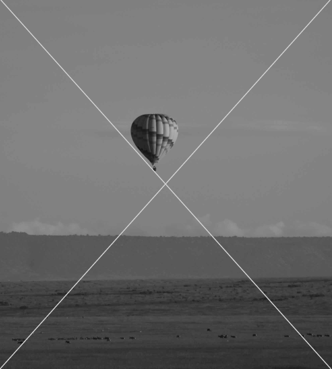 Masai Mara Balloon Safari Tour