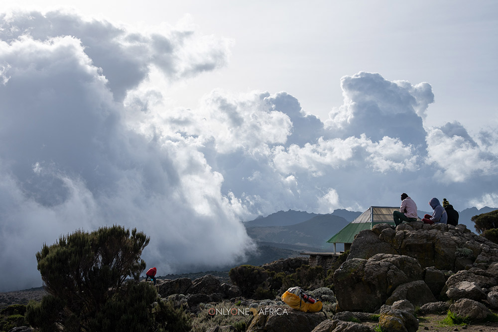 Tanzania: Kilimanjaro Climbing via the Marangu Route : 7days