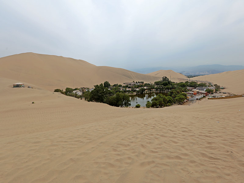 Nazca Lines + Huacachina Oasis + Ballestas Islands