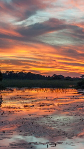 Experience the Natural Wonders of the Pantanal: 4-Day Tour