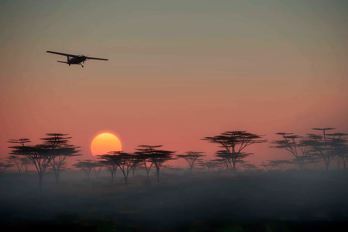 Tanzania: Luxury Sky Safari : 8 Days