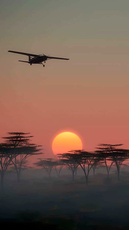 Tanzania: Luxury Sky Safari : 8 Days