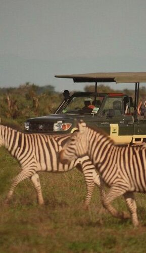 Kenya Fly Safari Tour 8 Days