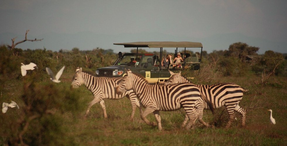 Kenya Fly Safari Tour 8 Days