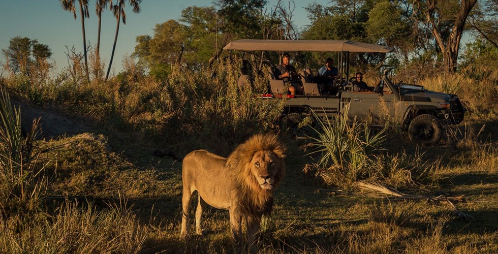 9-Day Adventure in Zambia, Zimbabwe & Botswana