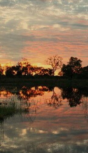 Botswana Safari Camp Tour: 7 Days