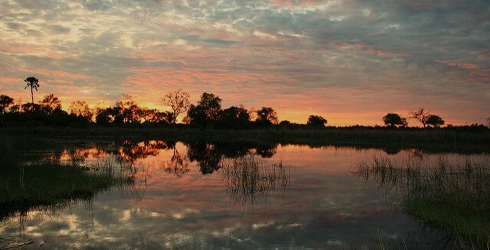 Botswana Safari Camp Tour: 7 Days