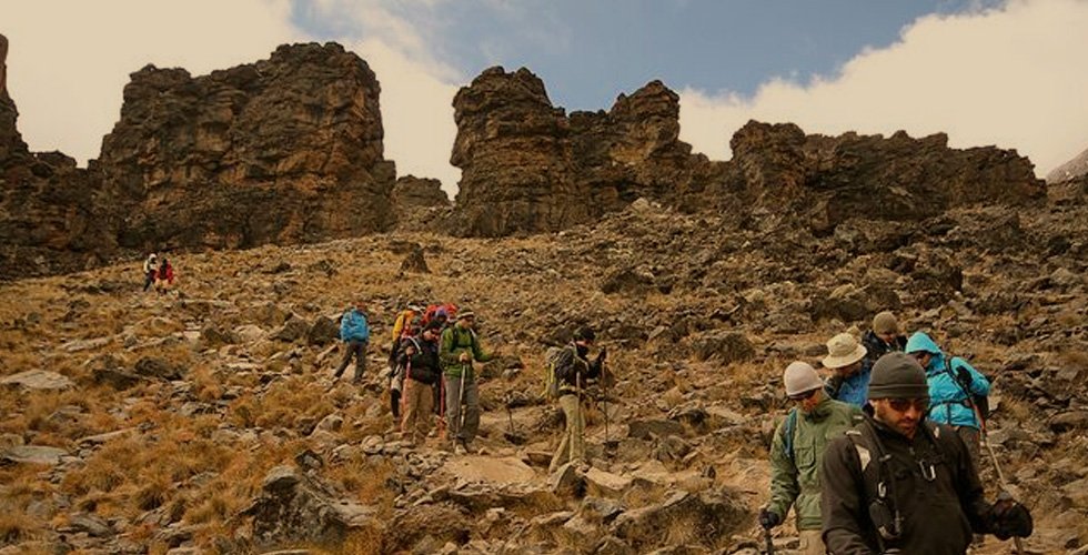 Kilimanjaro Climb & Tanzania’s Big Three National Parks: 11-Day Expedition