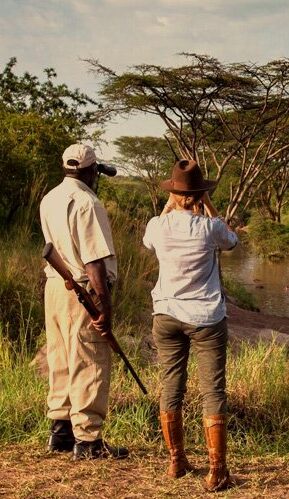 Tanzania Wildlife Experience: 7-Day Safari Adventure