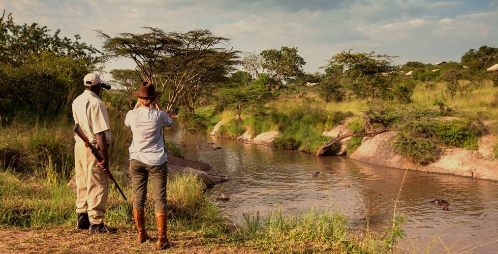 Tanzania Wildlife Experience: 7-Day Safari Adventure